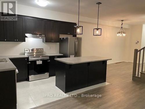 23 Bilanski Farm Road, Brantford, ON - Indoor Photo Showing Kitchen With Stainless Steel Kitchen With Double Sink With Upgraded Kitchen