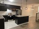 23 Bilanski Farm Road, Brantford, ON  - Indoor Photo Showing Kitchen With Stainless Steel Kitchen With Double Sink With Upgraded Kitchen 