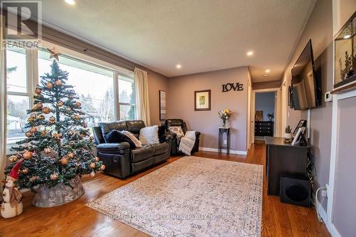 9 Deane Street N, Kawartha Lakes (Omemee), ON - Indoor Photo Showing Living Room