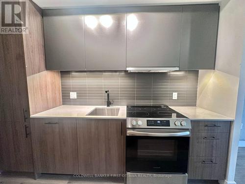 10 James Street, Ottawa, ON - Indoor Photo Showing Kitchen With Upgraded Kitchen