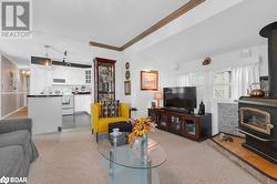 Living room with a wood stove and ornamental molding - 