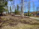 Lot 13-15 8Th Avenue, New Hazelton, BC 