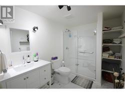 Updated Bathroom in the basement - 