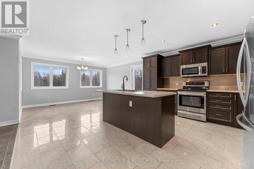 846 Green Lake Road, North Algona Wilberforce, ON - Indoor Photo Showing Kitchen