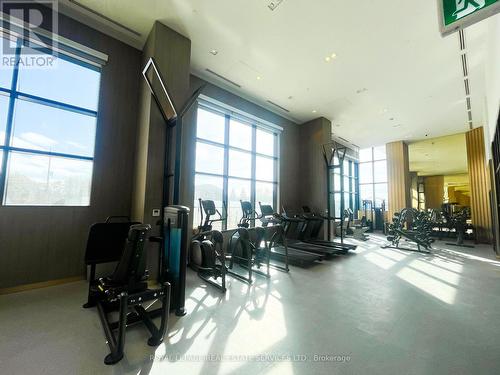 0 - 395 Dundas Street W, Oakville, ON - Indoor Photo Showing Gym Room