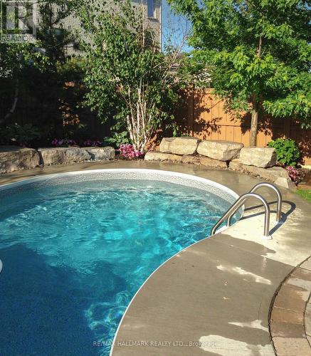 350 Paradelle Drive, Richmond Hill, ON - Outdoor With In Ground Pool