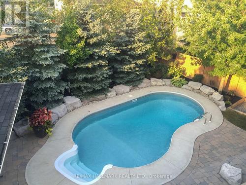 350 Paradelle Drive, Richmond Hill, ON - Outdoor With In Ground Pool With Backyard