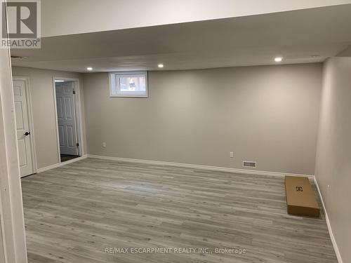 Lower - 19 Clearview Drive, Hamilton, ON - Indoor Photo Showing Basement