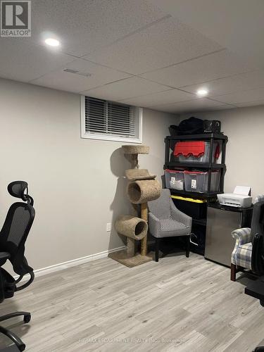 Lower - 19 Clearview Drive, Hamilton, ON - Indoor Photo Showing Basement