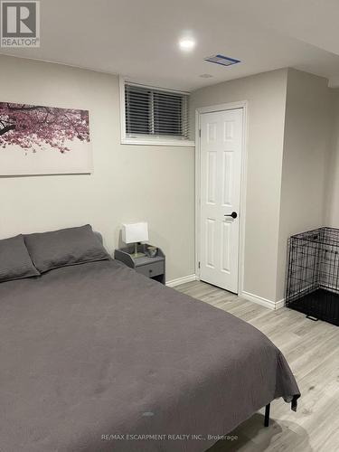 Lower - 19 Clearview Drive, Hamilton, ON - Indoor Photo Showing Bedroom