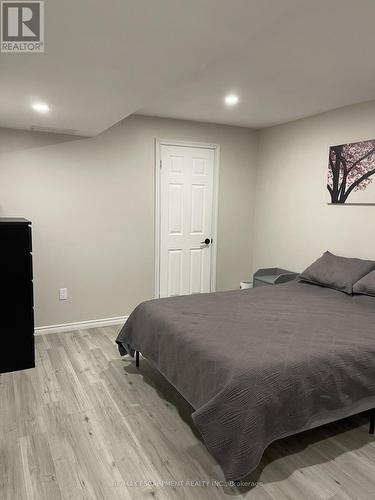 Lower - 19 Clearview Drive, Hamilton, ON - Indoor Photo Showing Bedroom