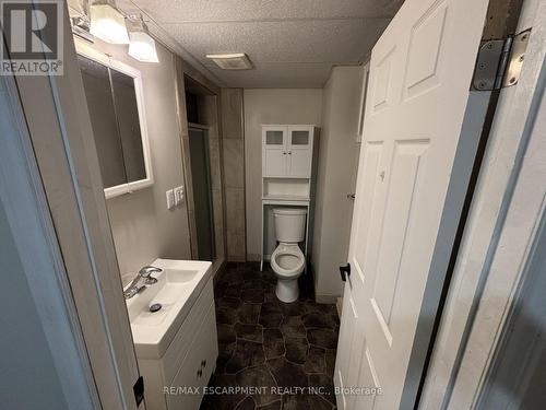 Lower - 19 Clearview Drive, Hamilton, ON - Indoor Photo Showing Bathroom