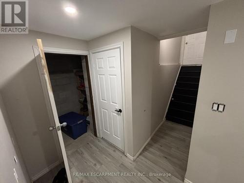 Lower - 19 Clearview Drive, Hamilton, ON - Indoor Photo Showing Other Room