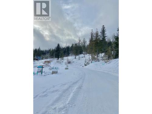 1036 Olaus Way, Rossland, BC 