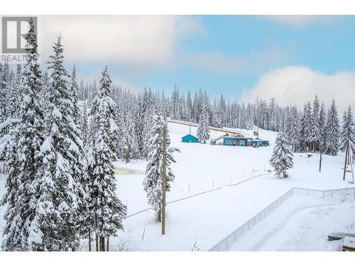 30 Monashee Road Unit# 310, Silver Star, BC - Outdoor With View