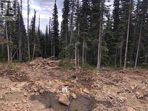 Pst Lot-12 Alpine Way, Smithers, BC 