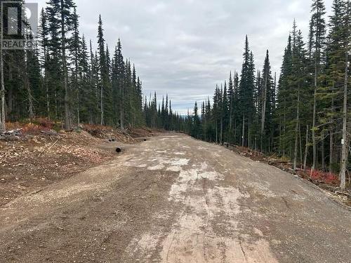 Pst Lot-12 Alpine Way, Smithers, BC 