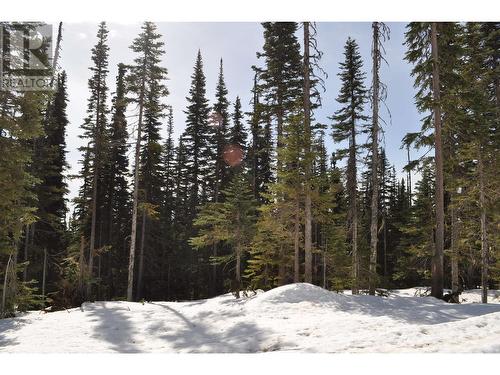 Pst Lot-12 Alpine Way, Smithers, BC 