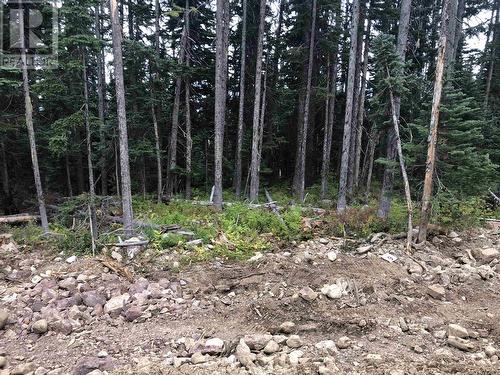 Pst Lot-9 Alpine Way, Smithers, BC 