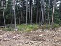 Pst Lot-9 Alpine Way, Smithers, BC 