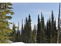 Pst Lot-7 Alpine Way, Smithers, BC 