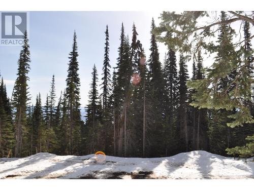 Pst Lot-7 Alpine Way, Smithers, BC 