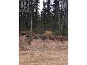 Pst Lot-7 Alpine Way, Smithers, BC 