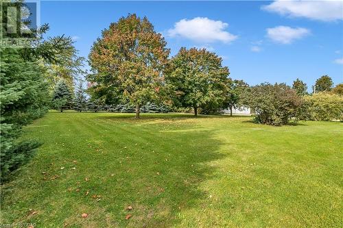 View of yard - 5819 Wellington Cty Rd 7, Guelph, ON 