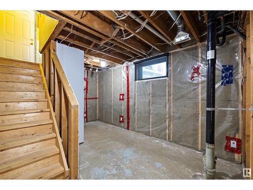 12013 42 St Nw, Edmonton, AB - Indoor Photo Showing Basement