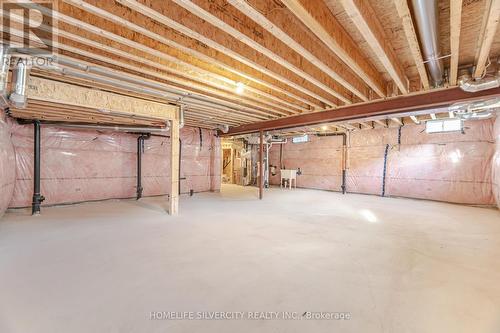 19 Gibson Drive, Erin, ON - Indoor Photo Showing Basement