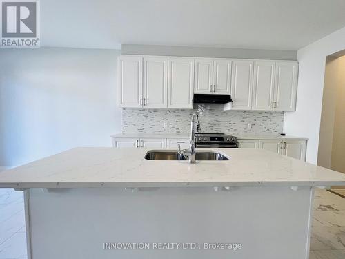 305 Crossway Terrace, Ottawa, ON - Indoor Photo Showing Kitchen With Double Sink With Upgraded Kitchen