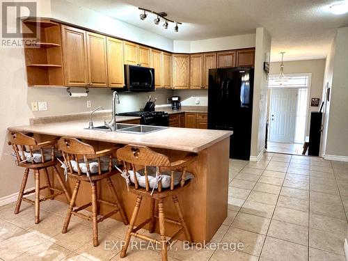 509 Alberta Avenue, Woodstock (Woodstock - South), ON - Indoor Photo Showing Kitchen With Double Sink