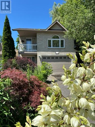 276 Sheridan Court, Newmarket, ON - Outdoor With Balcony