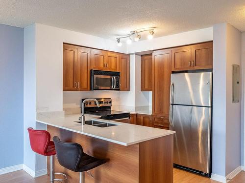 Kitchen - 903-1280 Rue St-Jacques, Montréal (Ville-Marie), QC - Indoor Photo Showing Kitchen With Double Sink