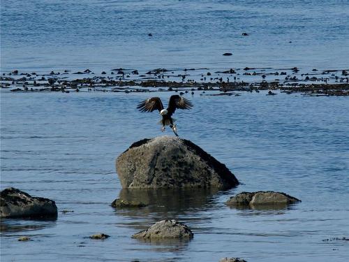 3401-27 Island Hwy South, Campbell River, BC - Outdoor With Body Of Water With View