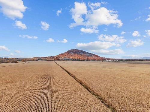 Aerial photo - 737 Rg Chartier, Mont-Saint-Grégoire, QC - Outdoor With View