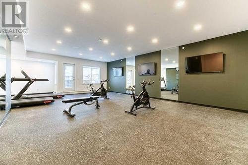 gym on 4th floor of 4000 building - 1208, 111 Wolf Creek Drive, Calgary, AB - Indoor Photo Showing Gym Room