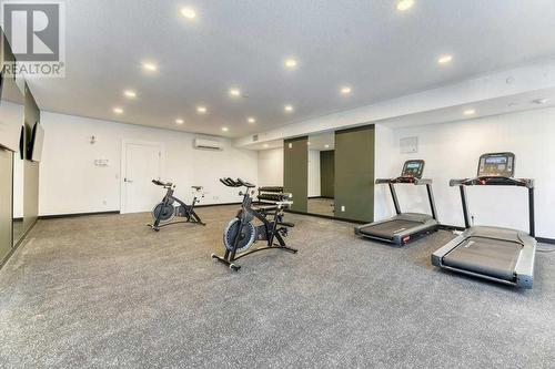 gym - 1208, 111 Wolf Creek Drive, Calgary, AB - Indoor Photo Showing Gym Room