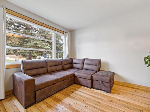 Salon - 15 Rue Boivin, Labelle, QC - Indoor Photo Showing Living Room