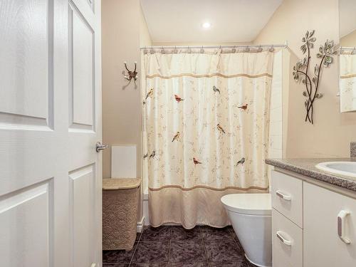 Salle de bains - 2250 Rue Cardin, Drummondville, QC - Indoor Photo Showing Bathroom