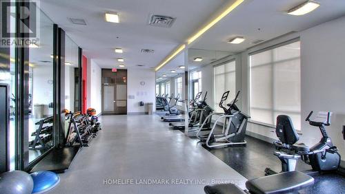 340 - 540 Bur Oak Avenue, Markham, ON - Indoor Photo Showing Gym Room