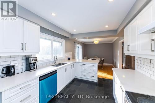 1281 Olde Base Line Road, Caledon, ON - Indoor Photo Showing Kitchen With Double Sink