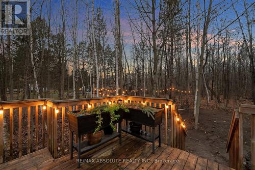 97 Seguinbourg Street, The Nation, ON - Outdoor With Deck Patio Veranda