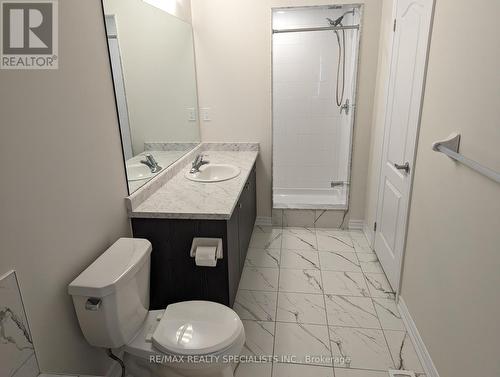 60 Witteveen Drive, Brantford, ON - Indoor Photo Showing Bathroom