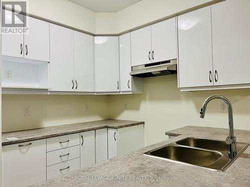 18 Tooker Drive, Brantford, ON - Indoor Photo Showing Kitchen With Double Sink