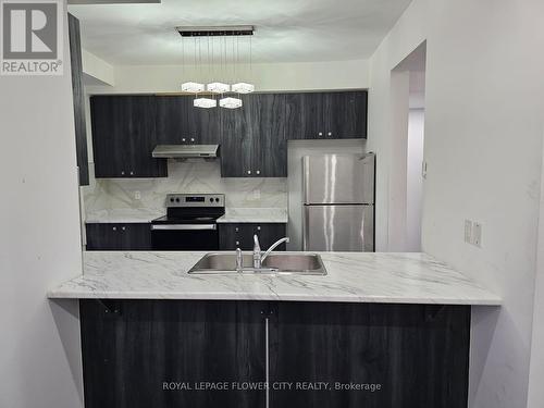 55 Fruitvale Circle, Brampton, ON - Indoor Photo Showing Kitchen With Stainless Steel Kitchen With Double Sink With Upgraded Kitchen