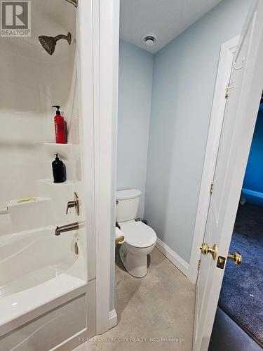 1714 E Quarter Line Road E, Norfolk (Langton), ON - Indoor Photo Showing Bathroom