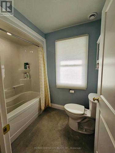 1714 E Quarter Line Road E, Norfolk (Langton), ON - Indoor Photo Showing Bathroom