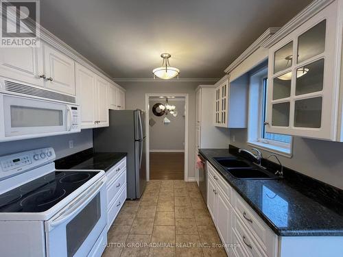 392 Terry Drive, Newmarket, ON - Indoor Photo Showing Kitchen With Double Sink