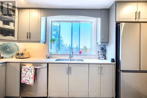 18 Ewing Street, Halton Hills, ON - Indoor Photo Showing Kitchen With Double Sink